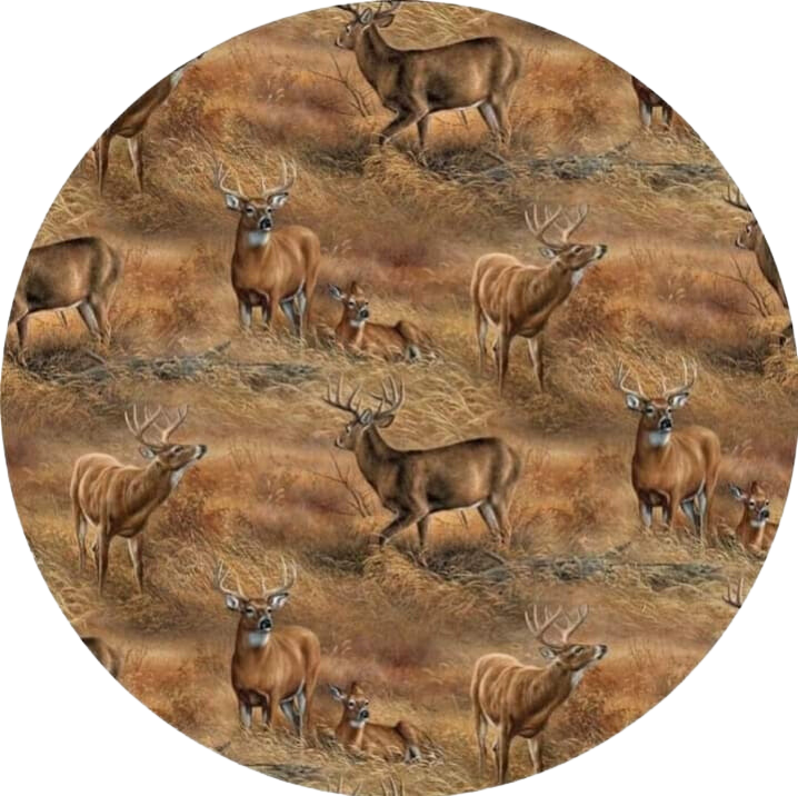 Deer Car Coaster