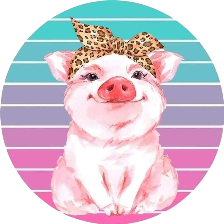 Piggy Car Coaster